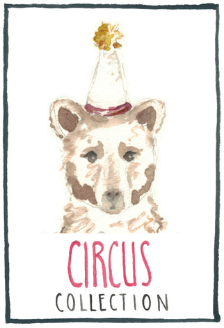 Circus