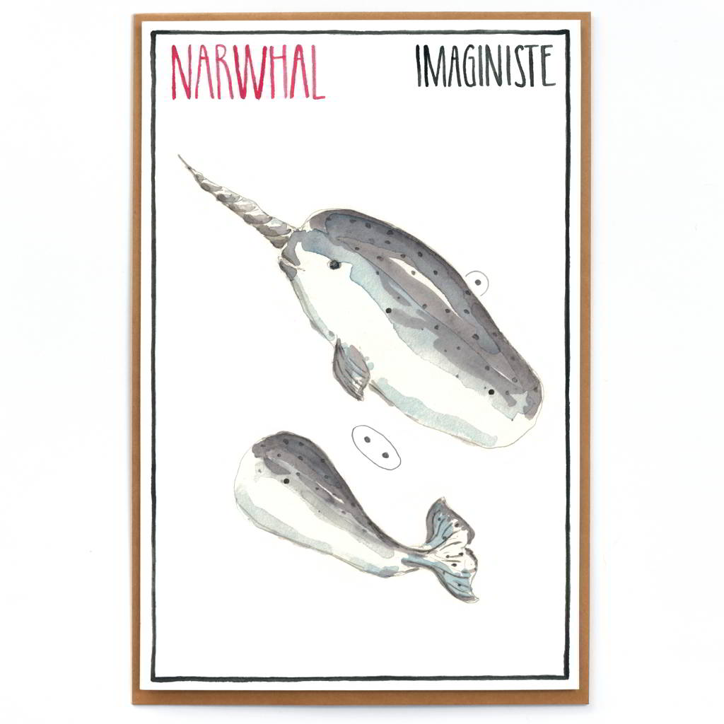 Narwhal Card