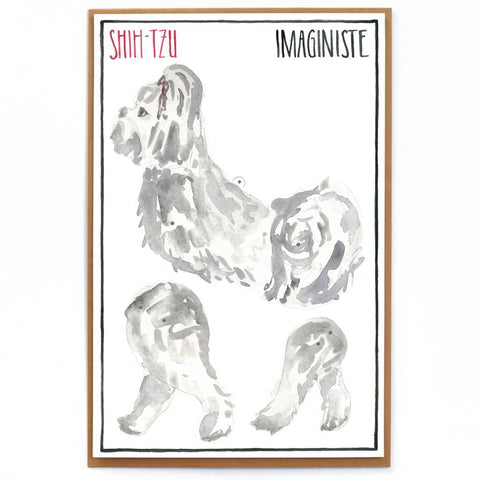 Shih-Tzu Card